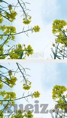 麻豆传媒破解版-麻豆传媒，网络世界的一场文化与道德的交锋